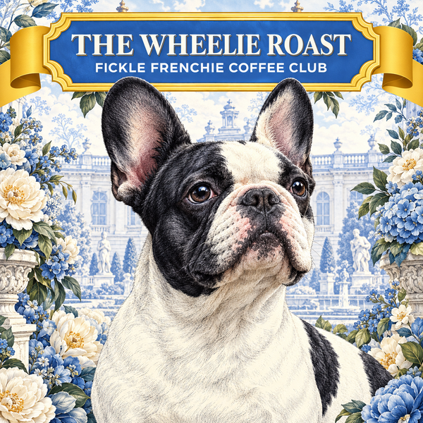 Close-up of the black and white French Bulldog on The Wheelie Roast coffee label by Fickle Frenchie Coffee Club.